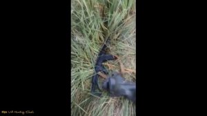 Горе охотники #4 / Юмор Приколы на охоте / Интересные случаи на охоте / Hunting funny #4