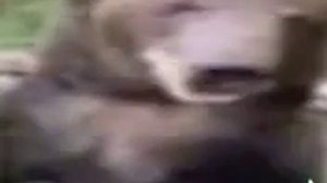 МиШа Ти ЧтА пУкНул я ЗнаЮ Что эТо тЫ и Не нада  ГовОРить что эТо Не Ти Не Стыдно ТиБе😳