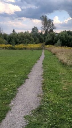 По дорожке на лугу