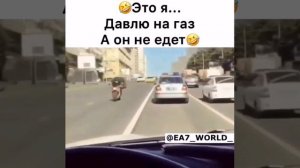 Кавказские приколы