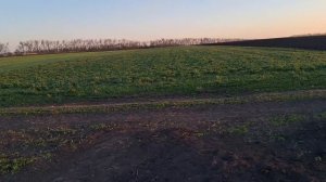 Жизнь Деревенская