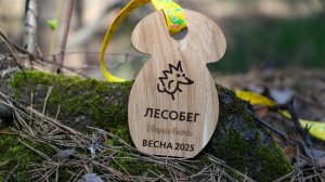 Лесобег 2025