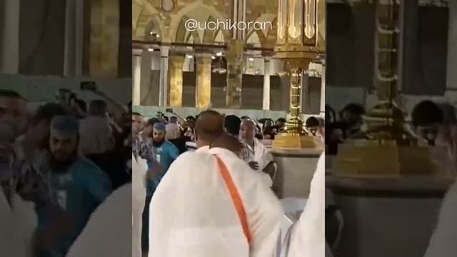 Птичка не просто так сидела все по Воле Аллаха #дуа #религияислам #мекка #хадисыпророкамухаммадаﷺ