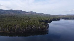 Курея часть 1