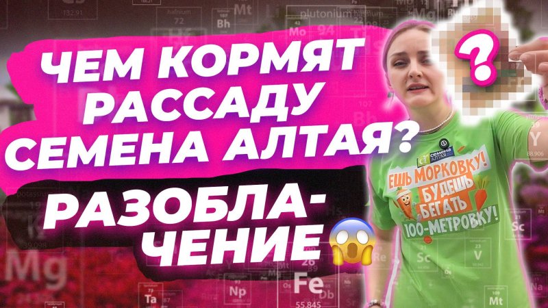 БАЗОВАЯ ПОДКОРМКА ДЛЯ РАССАДЫ