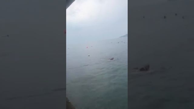 14 апреля 2020 г. смотреть онлайн