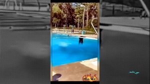 Смешные видео ролики.Подборка лучших приколов.#смешно#приколы#видео#смех#ржака