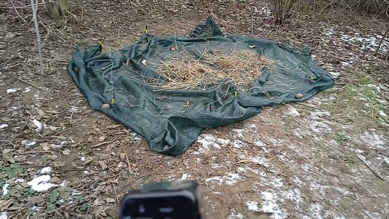 НОВАЯ БОЛЬШАЯ ЛОВУШКА НА ФАЗАНА