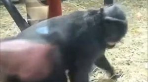 Натали   О боже, какой мужчина ! ПРЕМЬЕРА КЛИПА 2013)