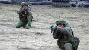 Владимир Путин поблагодарил военных КНДР за помощь в освобождении Курского приграничья