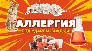 ЧТО ТАКОЕ АЛЛЕРГИЯ И КАК С НЕЙ ЖИТЬ? #меднавигатор #здороьве #медицина #аллерголог