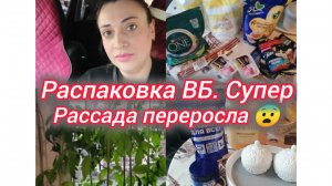 Распаковка ВБ. Рассада переросла 😨
