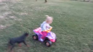 Видео для детей  ПРИКОЛЫ С ДЕТЬМИ   2016  Смешные дети    Funny kids Funny Kids Videos #1   WORF