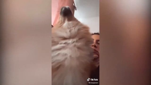 Лучшие приколы из Тик-Ток. Приколы 2021