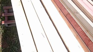 Огнебиозащита