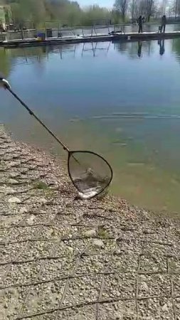 1000004163.mp4