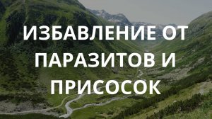 Избавление от паразитов и присосок