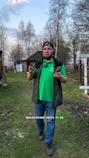 Какую зелень можно посеять в мае и июне #рассада #сад #дача #огород #комнатныерастения #