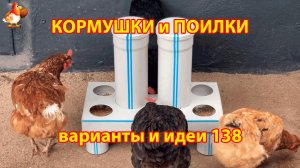 Кормушка курам в виде столика понравилась несушкам ❣️🤗😂
