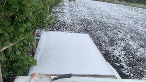 IMG_8243 У нас идет снег, все заметает.