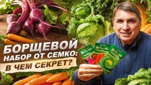 383. Борщевой набор  от СЕМКО