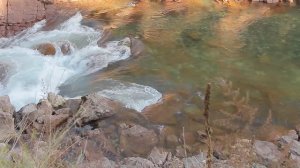 Республика Адыгея, река Белая.