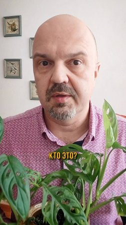 Ошибка, которую совершают ВСЕ! Самодостаточный человек ≠ одиночка