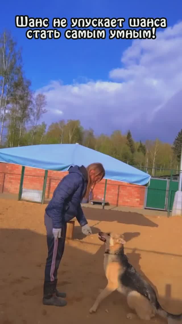 "Первый ученик сэнсея" ❥ Приют в Малинках