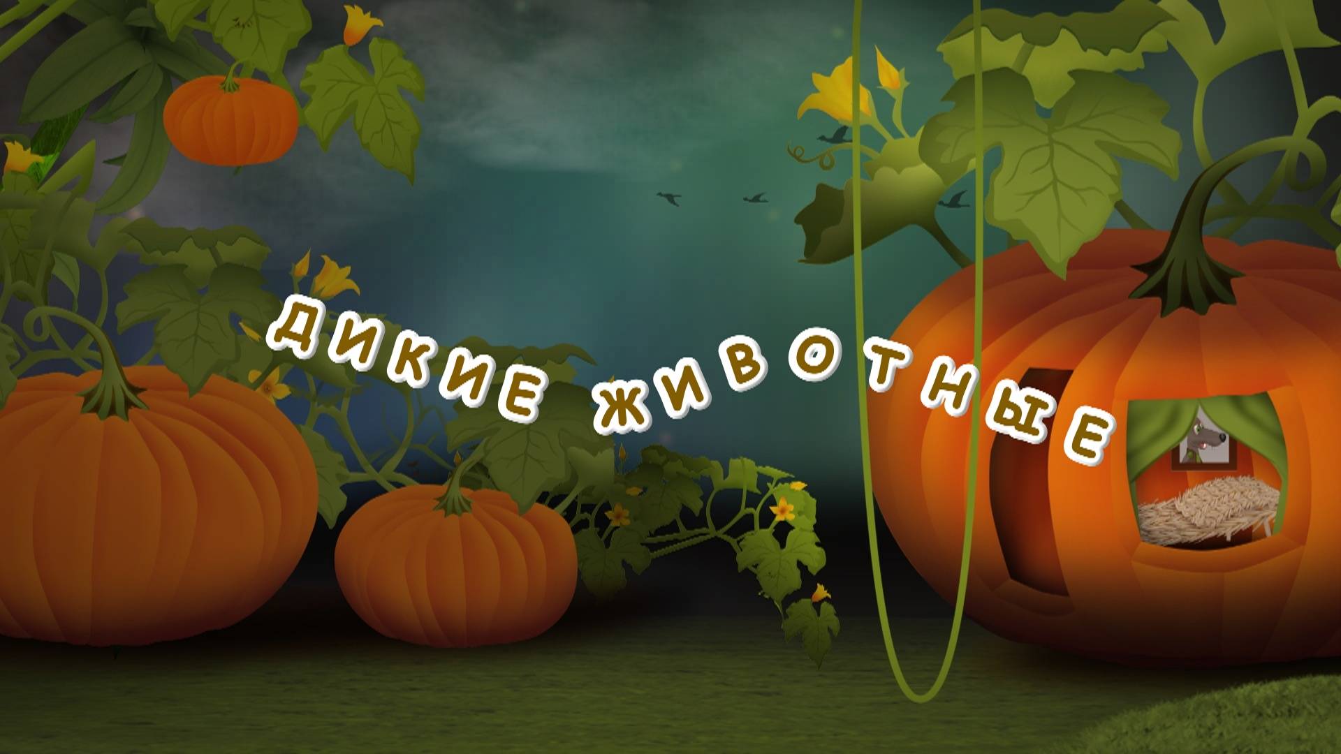 Дикие животные