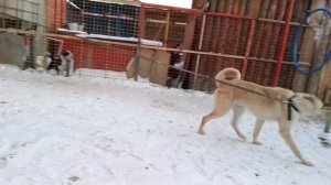 Пять лет ждал своего шанса и влюбил в себя добрых людей! | Ян