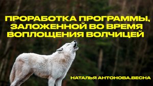 Личный пример проработки программы,заложенной во время воплощения волчицей I Наталья Антонова.Весна