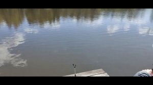 Карп на фидер