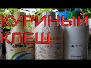 Красный куриный клещ | Как с ним бороться?