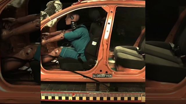 #crashtest #краштест перевозка животных