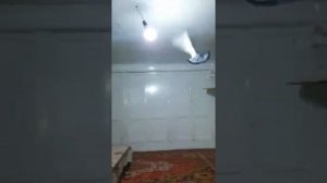 САМАРКАНДСКИЕ БОЙНЫЕ ГОЛУБИ ЧАСТЬ 2