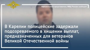 В Республике Карелия полицейские задержали подозреваемого в хищении выплат