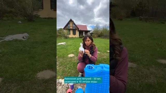 К нам снова пришли заморозки ❄️ и самая главная задача сейчас — это сохранить наши растения!