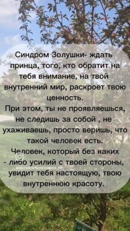 Синдром Золушки - продолжение...