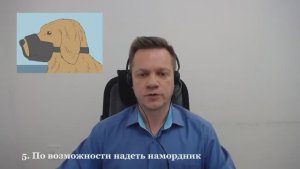 Первая помощь животным. Общие правила