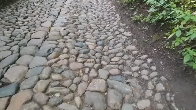 Булыжная мостовая Смоленск. В атмосфере старого города. Увлекательный спуск с холма.