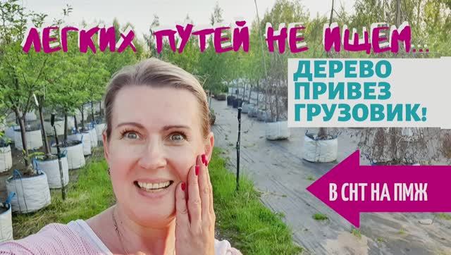 СТАРАЯ ДАЧА | Черешня ИПУТЬ в Подмосковье | Не ищем легких путей! №26