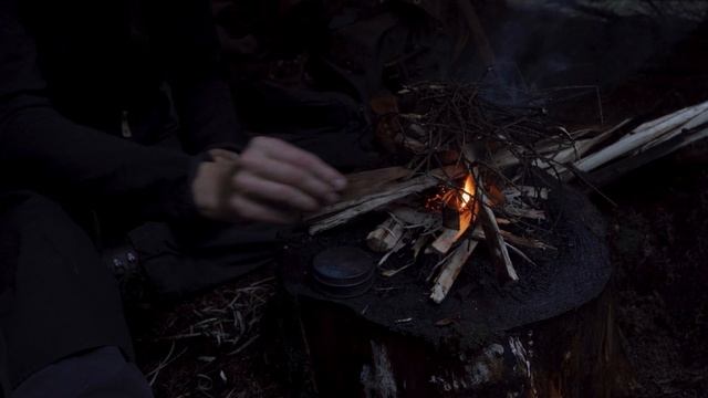 Solo Overnight Bushcraft Trip, Heavy Rain, DD Tarp Tent, Adjustable Pot hanger, Chaga Tea, Bacon, смотреть онлайн