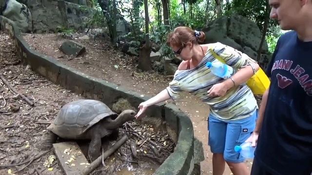 Мадагаскар национальный парк смотреть онлайн