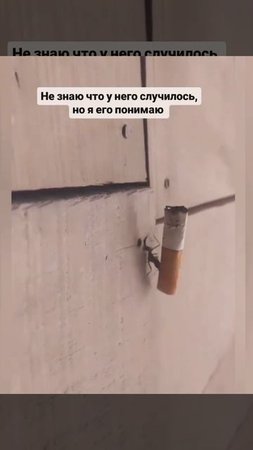 Весь муравейник хватит накурить 🤣