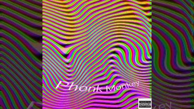 Phonk monkey
