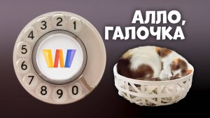 Алло, Галочка? #24 (83) третий сезон