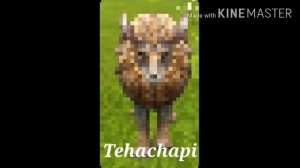 Приколы в WildCraft. 2 часть.