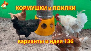 Кормушка бункерная курам из ведра и бутыли 19 л понравилась несушкам ❣️🤗😂