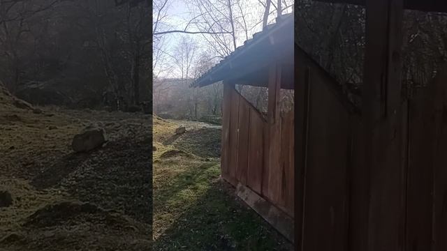 1000327541.mp4 НАЛЬЧИК.28.03.2024.Мои прогулки и путешествия.Возвращаемся от лесничества к санатор