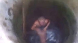 Дай ведра 2  Прикол